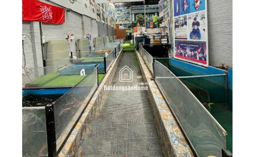 Nhà MT giá trong hẻm 261m², Nở hậu, Đ.10m – An Phú Đông Q12